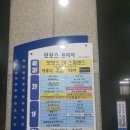 보보스랜드