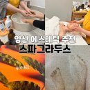 아페토음악학원 | 양산 에스테틱 스파그라두스 양산피부관리실 추천