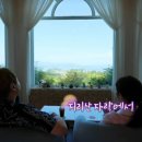 민트스테이