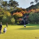 금강센테리움(주) 네이버블로그
