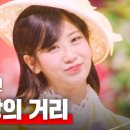 🎬 사랑의 거리 네티 + 유튜브 뮤직 이미지