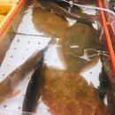 대영상회 이미지