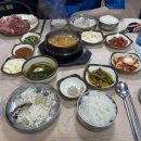 고양이천국 이미지