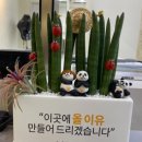 하준 | 💇‍♀️공릉 미용실[올이유 헤어] 하준 원장님 펌 솔직후기