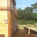 통나무집사람들 이미지