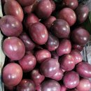 농군농장 이미지