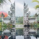 노리멍 | 발리 우붓 프라이빗 투어 솔직 후기 [발리 스윙 · 몽키 포레스트 · 티르타 엠풀 포함]