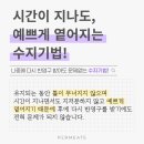 펄미에이트 이미지