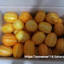 이고농산 이미지