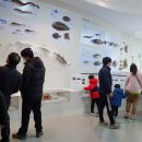 무안황토갯벌랜드 생태갯벌과학관 이미지