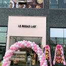 래드랩 이미지