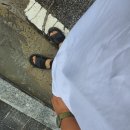 물라피시방 이미지