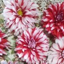 카페 다알리아 이미지