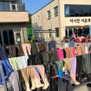 서울 근교 마시안 갯벌 체험장 이용 후기(준비물, 주차, 꿀팁 등)
