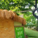 모모토리 | [인천] 계양구 애견카페 "모모토리" 브런치 후기