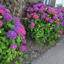 안성리-9 이미지