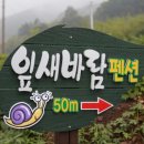 잎새바람 펜션 이미지