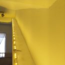 해누리 클린 이미지