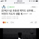 [단독]11살 초등생 제자도 성추행…버젓이 지도자 생활 이미지