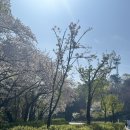 🌸 서울대공원 동물원 나들이 후기 (아이와 함께한 봄날 기록)