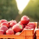 에이치큐브병원 이미지