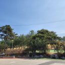 웨스트우드 영천골프 이미지