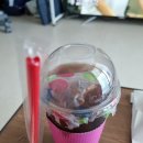 카페수르 이미지