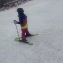 쉽게 배우는 사군자 기초 | 휘닉스파크 스키스쿨 추천! 초보도 쉽게 배우는 최고의 강의는 어디일까?