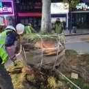 주식회사 느티나무