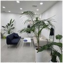 세무법인아산 - 남구 갈밭로 58 | 청당동세무사 신뢰할 수 있는 천안아산 지역 세무 파트너 후기