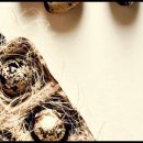 동원당약국 이미지