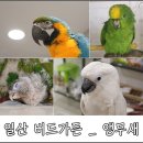 가든조류원 이미지