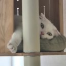 로엠하당점 | 잠정적 P의 삶, 번아웃 극복기