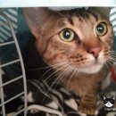 시드니호텔 2 이미지