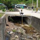 용수세천 이미지