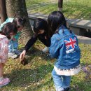 정모시공원 이미지