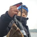 참가자미 이미지