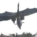 해맞이 민박 이미지