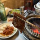 마포갈매기 이미지