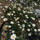 한얼농장 이미지