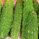 여주-0365 네이버블로그