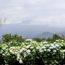 무지개 참숯가든 | 4월 제주도 가볼만한곳 10곳 멋진 실외 자연 여행지들 위주로