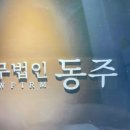음주운전6번 보유하고 있음에도 실형 면한 전략