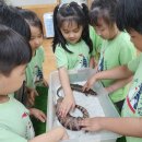 바다의별유치원 이미지