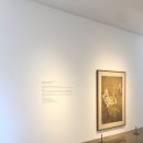 뮤지엄 스테이 이미지