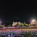 정읍 천변에서 열리는 정읍 물빛축제 방문