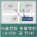 서울앤탑 동물병원 이미지