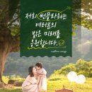 조은 태양광발전소 이미지