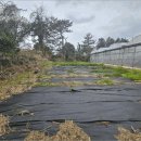 서호동-15 이미지