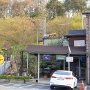 들풀 담소 이미지